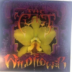 Пластинка Cult Wild Flower (45rpm)